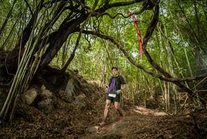 BIB: 
                            <button type="button" onclick="openModal(22178418)" class="btn btn-primary btn-sm float-right btn-popup" data-toggle="modal" data-target=".modal-high-quality">
                        <i class="fas fa-shopping-cart"></i> Add to Cart
                    </button>
                                            <button type="button" onclick="isThisMe(22178418, true)" class="btn btn-success btn-sm float-right btn-popup btn-isme hidden" data-toggle="tooltip" data-placement="bottom" title="นี่คือรูปของคุณใช่ไหม คลิกที่นี่เพื่อเอาเข้าอัลบั้ม">
                        <i class="fas fa-plus"></i> Add to album
                    </button>
                    <button type="button" onclick="isThisMe(22178418, false)" class="btn btn-warning btn-sm float-right btn-popup btn-isnotme hidden">
                        <i class="fas fa-ban"></i> Remove from album
                    </button>